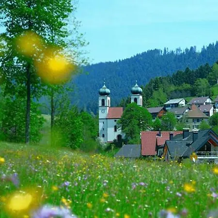 Charming In Black Forest Near The Forest 아파트 바트리폴드사우샤프바흐