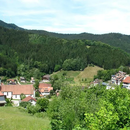 아파트 Charming In Black Forest Near The Forest 바트리폴드사우샤프바흐